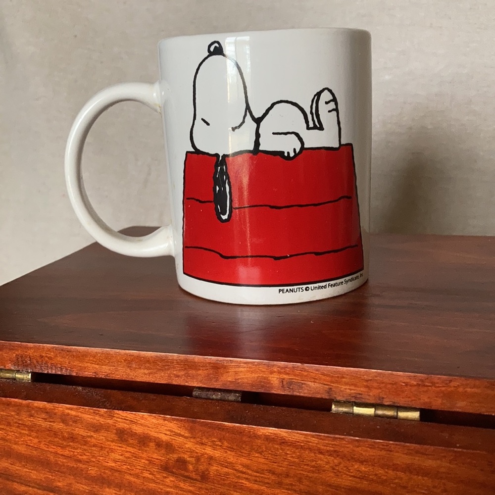 Vintage peanuts Snoopy sleeping on red dog house roof